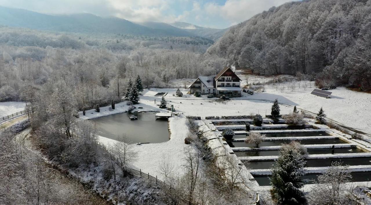 Hotel Valea Salbatica Sinca Noua Exteriér fotografie