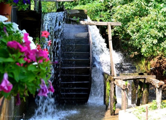 Hotel Valea Salbatica Sinca Noua Exteriér fotografie