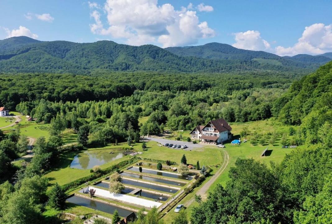 Hotel Valea Salbatica Sinca Noua Exteriér fotografie