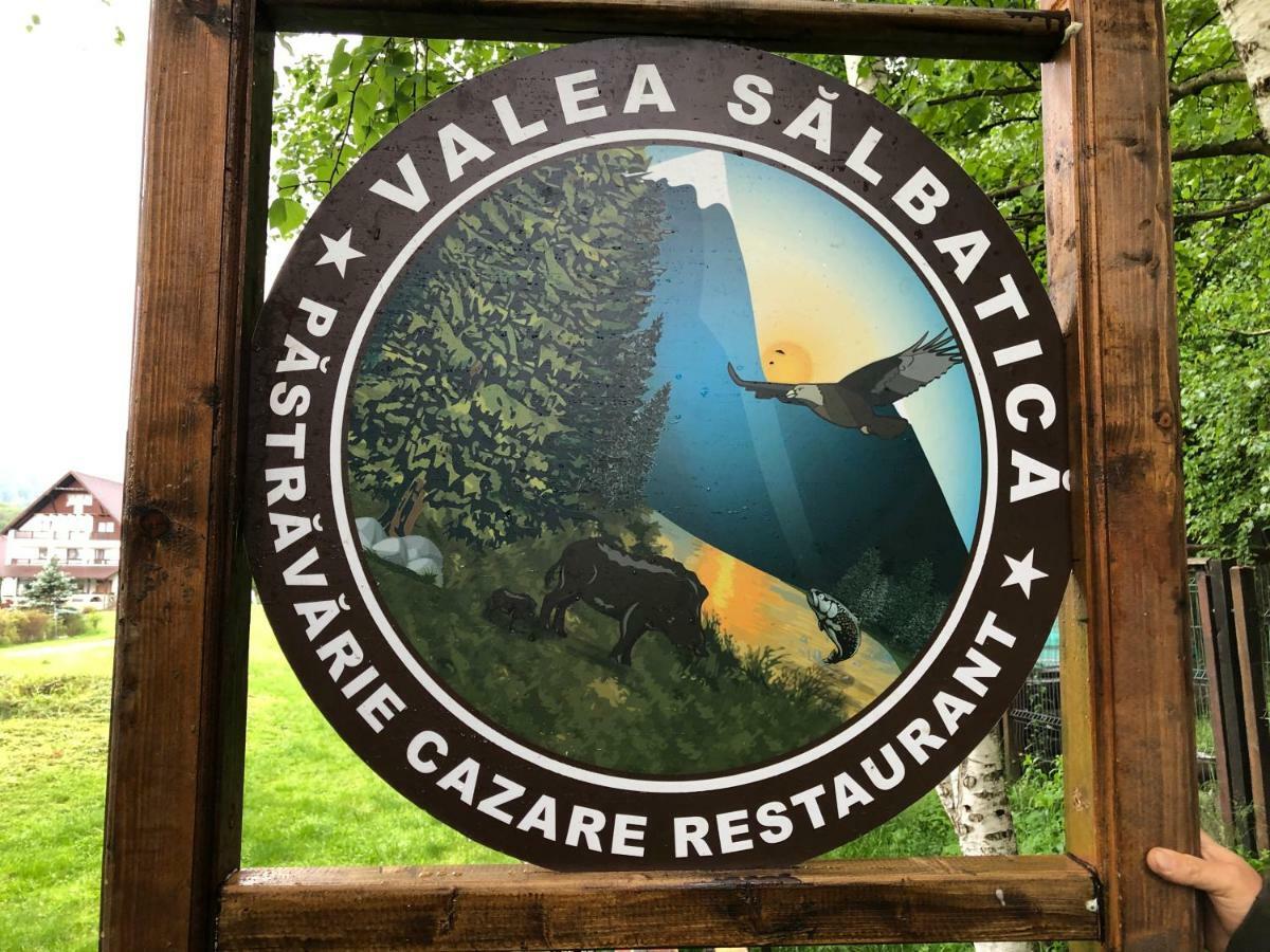 Hotel Valea Salbatica Sinca Noua Exteriér fotografie
