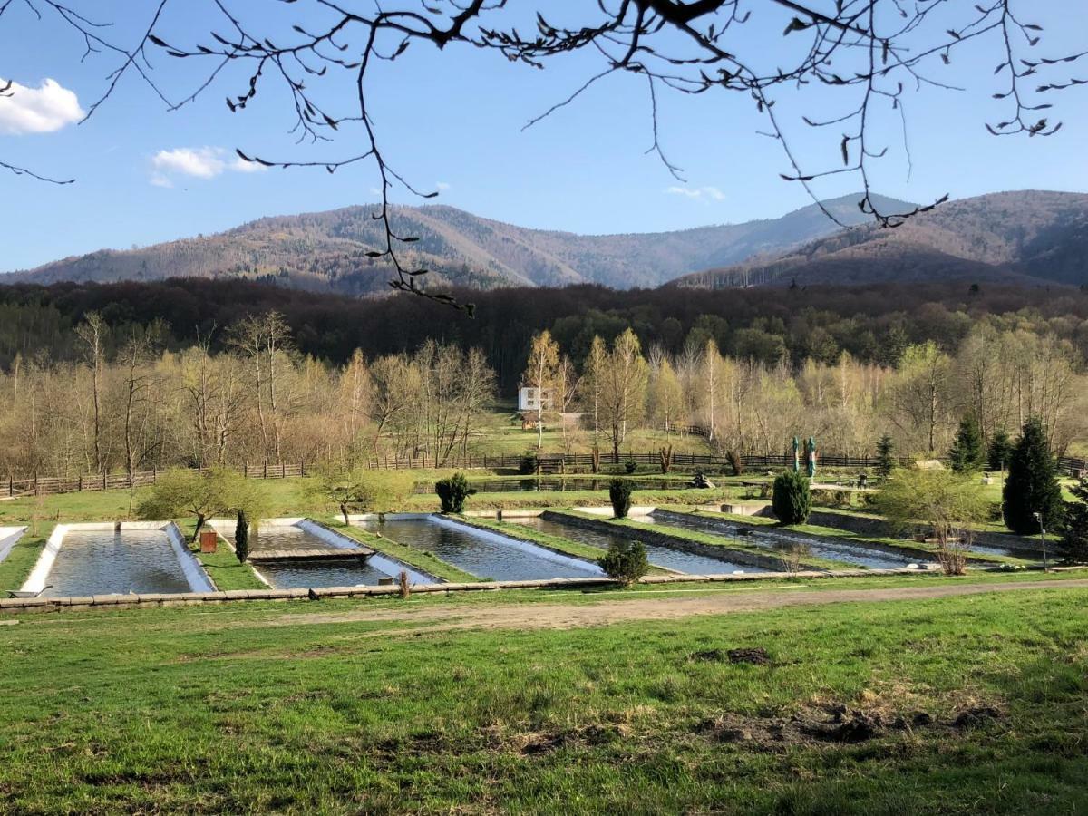 Hotel Valea Salbatica Sinca Noua Exteriér fotografie